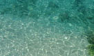 古宇利島の海は透明
